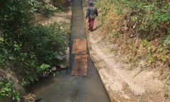 Nghệ An: Rừng chưa được bình yên